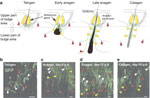 Figure 1 - Unfortunately we are unable to provide accessible alternative text for this. If you require assistance to access this image, please contact help@nature.com or the author